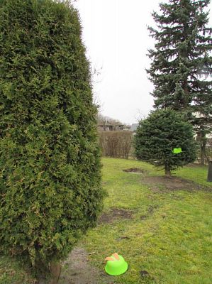 Grafika #10: 23.03.2016 Tropem Wielkanocnego Zajączka