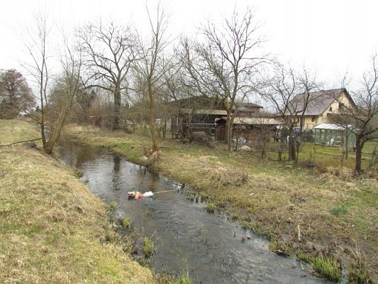 Grafika #67: 21.03.2016 Pierwszy Dzień Wiosny