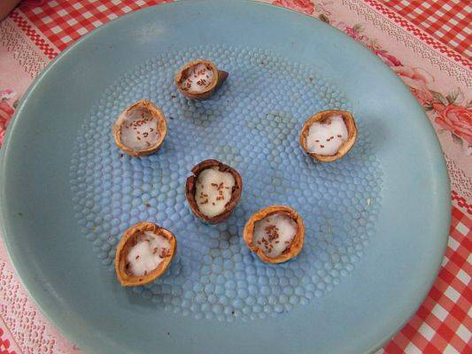 Grafika #21: 09.03.2016 Zajęcia dydaktyczne - "Wiosenna uprawa roślin"