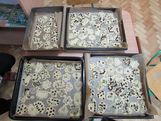 Grafika #18: 14.01.2016 - Pieczemy ciasteczka dla babci i dziadka-Starszaki
