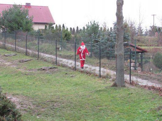 Grafika #3: 04.12.2015 - Mikołajkowe niespodzianki