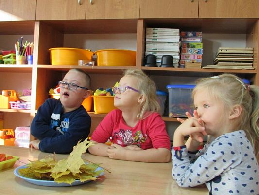 Grafika #16: 20.10.2015-Warsztaty plastyczne pn."Jesienne bukiety z liści"