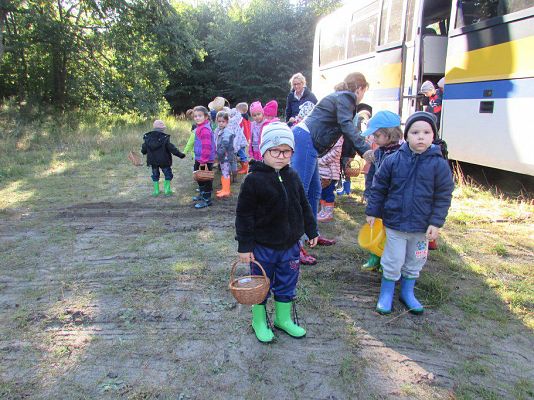 Grafika #1: 24.09.2015 - Wycieczka do lasu cz.II