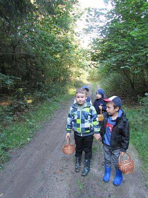 Grafika #4: 24.09.2015 - Wycieczka do lasu cz.II