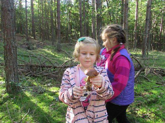 Grafika #17: 24.09.2015 - Wycieczka do lasu cz.II