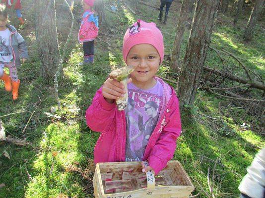 Grafika #18: 24.09.2015 - Wycieczka do lasu cz.II