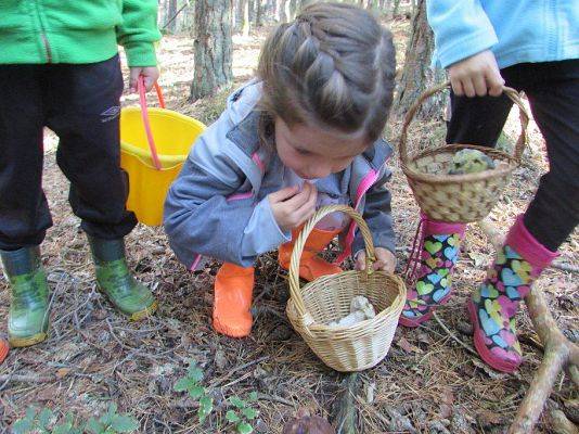 Grafika #19: 24.09.2015 - Wycieczka do lasu cz.II