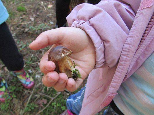 Grafika #21: 24.09.2015 - Wycieczka do lasu cz.II