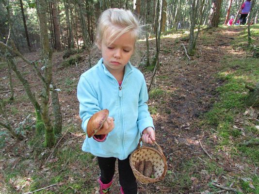 Grafika #23: 24.09.2015 - Wycieczka do lasu cz.II