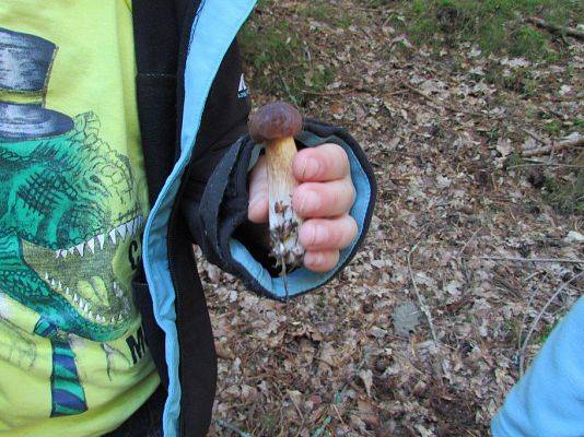 Grafika #24: 24.09.2015 - Wycieczka do lasu cz.II