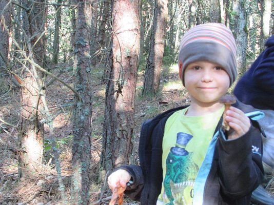 Grafika #27: 24.09.2015 - Wycieczka do lasu cz.II