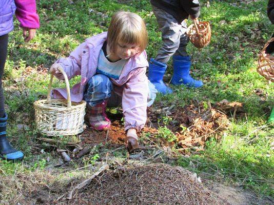 Grafika #28: 24.09.2015 - Wycieczka do lasu cz.II