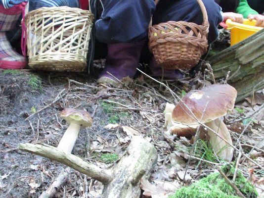 Grafika #31: 24.09.2015 - Wycieczka do lasu cz.II