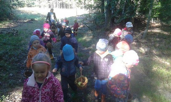 Grafika #3: 24.09.2015 - Wycieczka do lasu cz.I