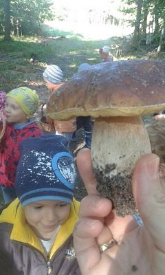 Grafika #6: 24.09.2015 - Wycieczka do lasu cz.I