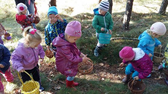 Grafika #18: 24.09.2015 - Wycieczka do lasu cz.I