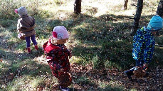 Grafika #19: 24.09.2015 - Wycieczka do lasu cz.I