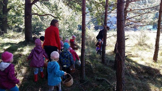 Grafika #20: 24.09.2015 - Wycieczka do lasu cz.I