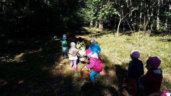 Grafika #24: 24.09.2015 - Wycieczka do lasu cz.I