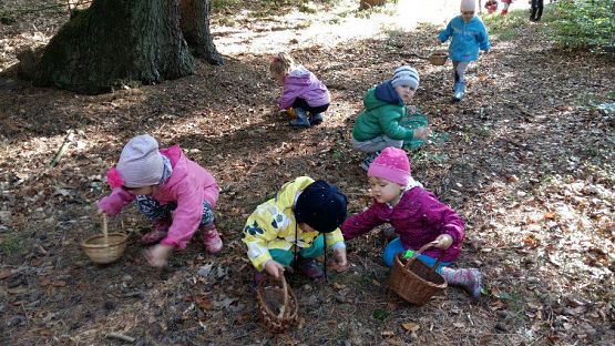 Grafika #27: 24.09.2015 - Wycieczka do lasu cz.I