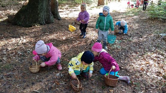 Grafika #28: 24.09.2015 - Wycieczka do lasu cz.I