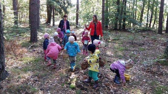 Grafika #32: 24.09.2015 - Wycieczka do lasu cz.I