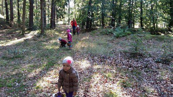 Grafika #34: 24.09.2015 - Wycieczka do lasu cz.I