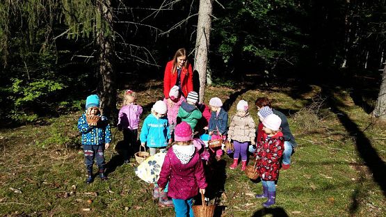 Grafika #44: 24.09.2015 - Wycieczka do lasu cz.I