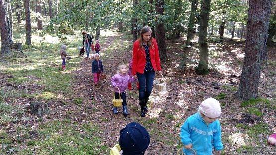 Grafika #49: 24.09.2015 - Wycieczka do lasu cz.I