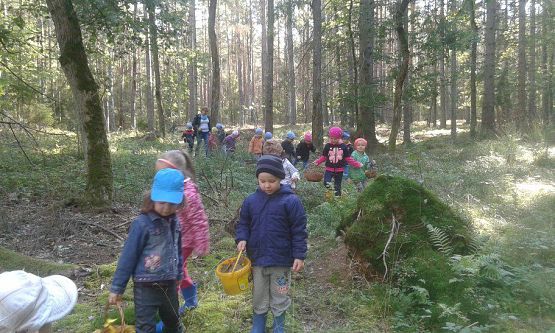 Grafika #56: 24.09.2015 - Wycieczka do lasu cz.I