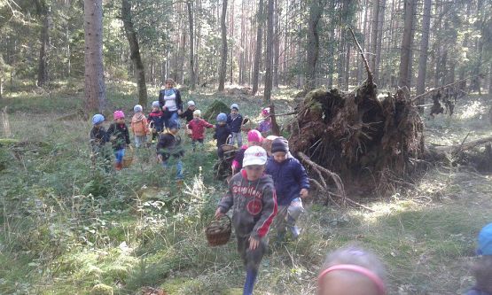 Grafika #58: 24.09.2015 - Wycieczka do lasu cz.I