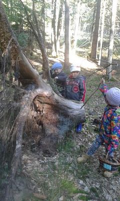 Grafika #60: 24.09.2015 - Wycieczka do lasu cz.I