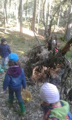 Grafika #61: 24.09.2015 - Wycieczka do lasu cz.I