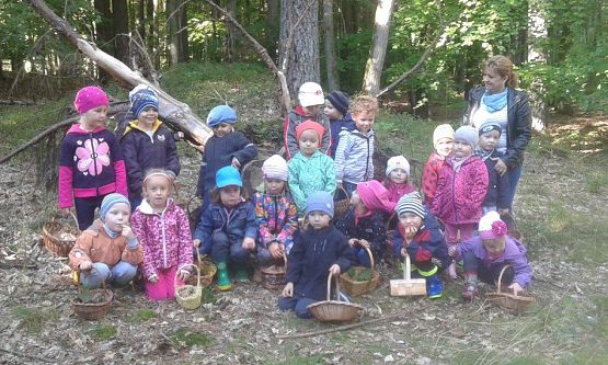 Grafika #64: 24.09.2015 - Wycieczka do lasu cz.I