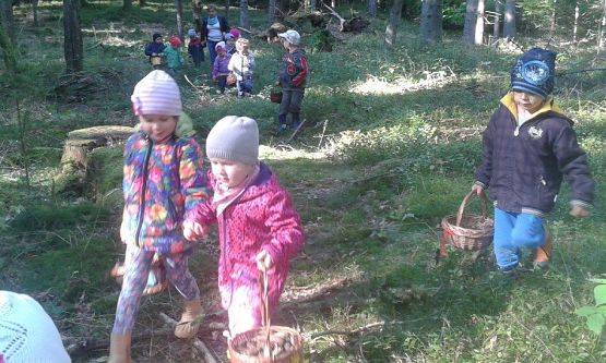 Grafika #68: 24.09.2015 - Wycieczka do lasu cz.I