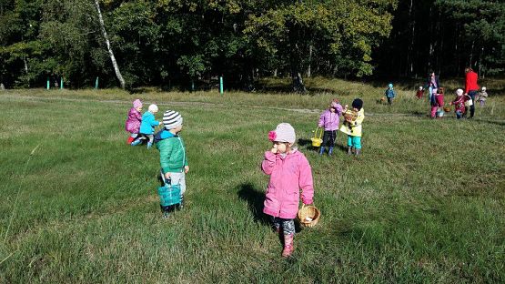 Grafika #71: 24.09.2015 - Wycieczka do lasu cz.I