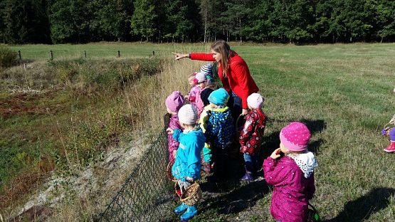 Grafika #73: 24.09.2015 - Wycieczka do lasu cz.I
