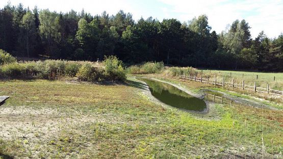 Grafika #74: 24.09.2015 - Wycieczka do lasu cz.I