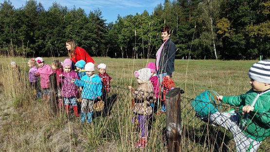 Grafika #75: 24.09.2015 - Wycieczka do lasu cz.I