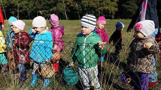 Grafika #76: 24.09.2015 - Wycieczka do lasu cz.I