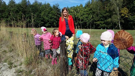 Grafika #77: 24.09.2015 - Wycieczka do lasu cz.I