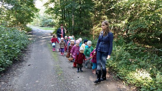 Grafika #81: 24.09.2015 - Wycieczka do lasu cz.I