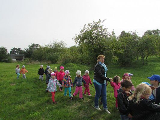 Grafika #3: 23.09.2015 - Wycieczka do sadu