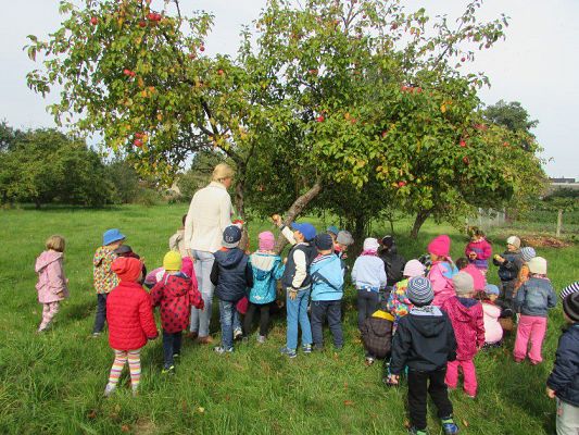 Grafika #8: 23.09.2015 - Wycieczka do sadu