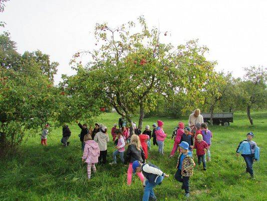 Grafika #10: 23.09.2015 - Wycieczka do sadu