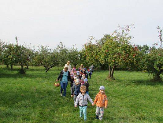 Grafika #13: 23.09.2015 - Wycieczka do sadu
