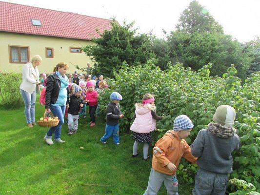 Grafika #17: 23.09.2015 - Wycieczka do sadu