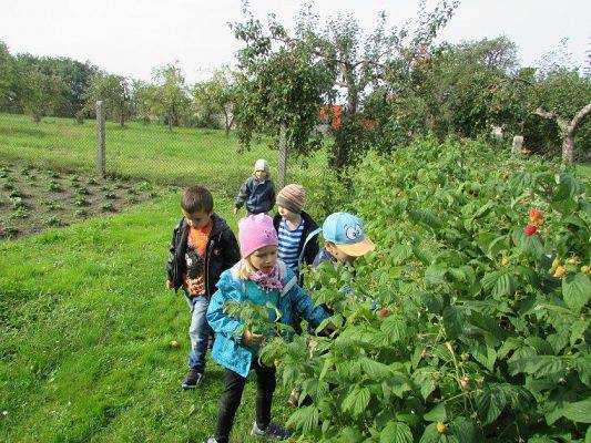 Grafika #19: 23.09.2015 - Wycieczka do sadu