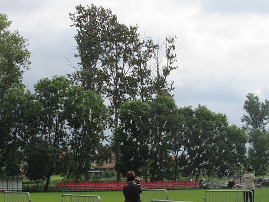 Grafika #60: 18.09.2015 - Miniolimpiada Osób Niepełnosprawnych