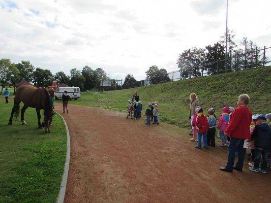 Grafika #65: 18.09.2015 - Miniolimpiada Osób Niepełnosprawnych